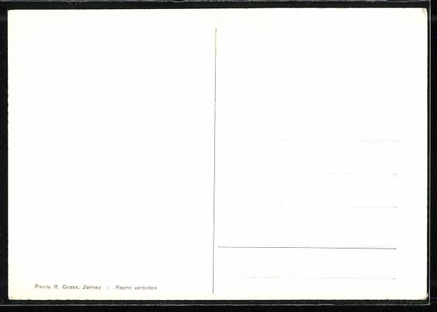 Cartoline postali: AK Zernez, Blick gegen den Ofenpass – Usato da Berlin venduto da bartko-reher 1