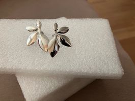 Elegante, glänzende, silberfarbene Blatt Ohrstecker, neu