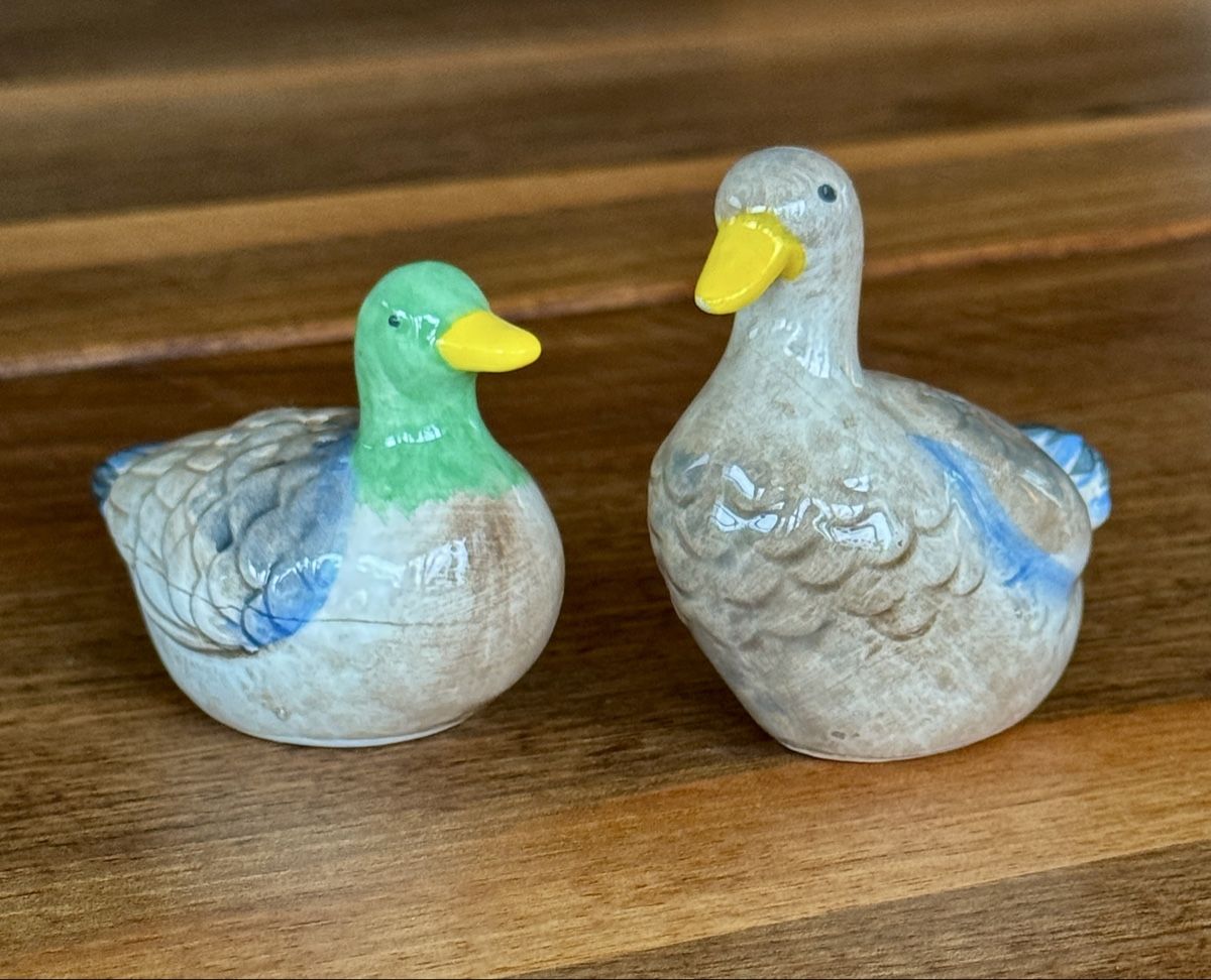 Geschirrsets: Salz Pfeffer Keramik Enten – Gebraucht aus Baar von Freethy