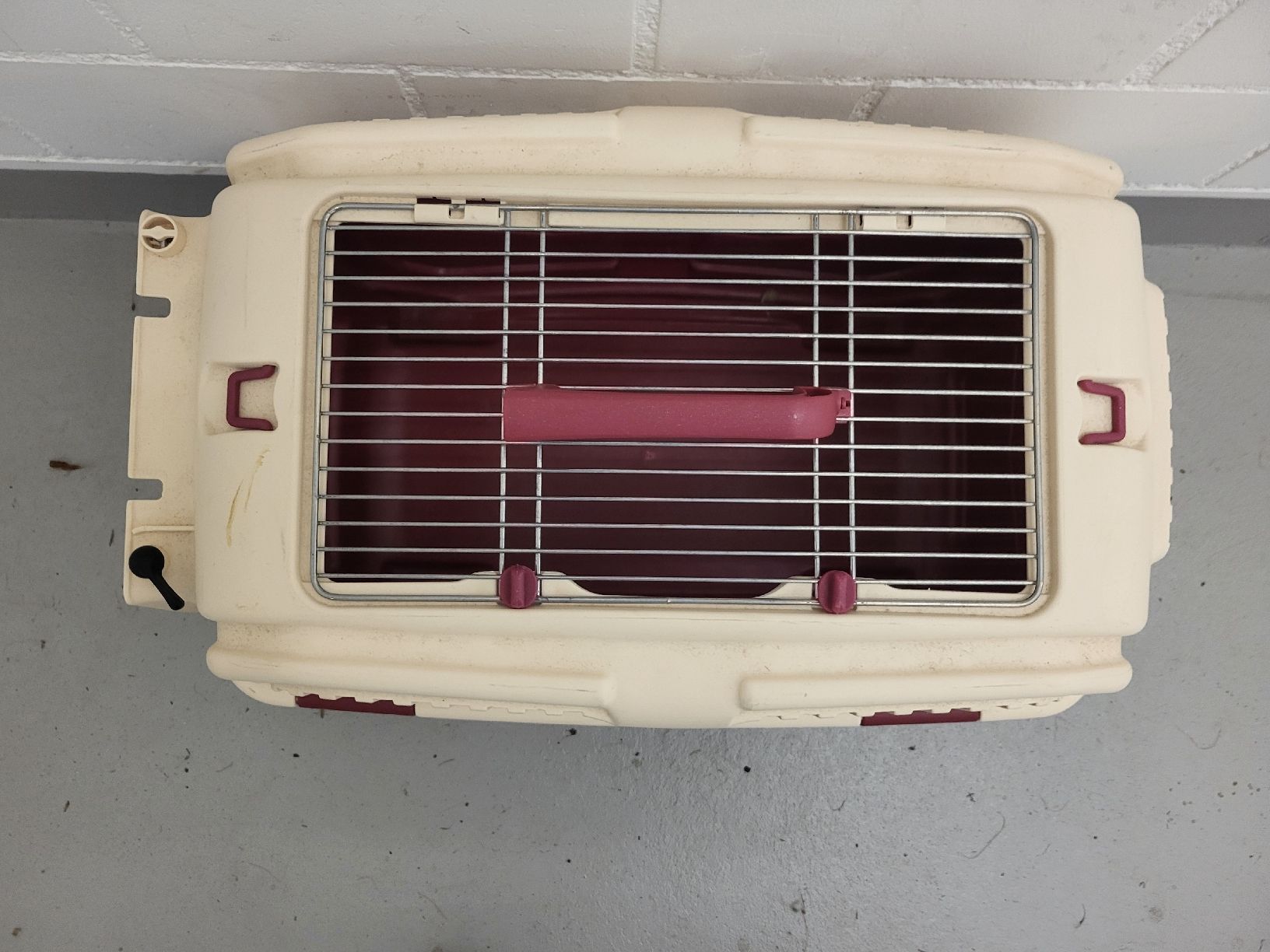 Gabbie, trasporto & Sicurezza: Katzentransportkiste – Usato da Gutenswil venduto da ghekko88 2