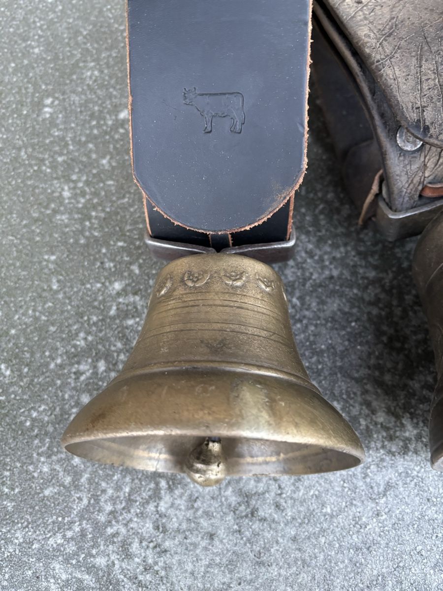 Campanacci mucche: 3 Wedeglöggli – Usato da Schangnau venduto da Roseggli82 1