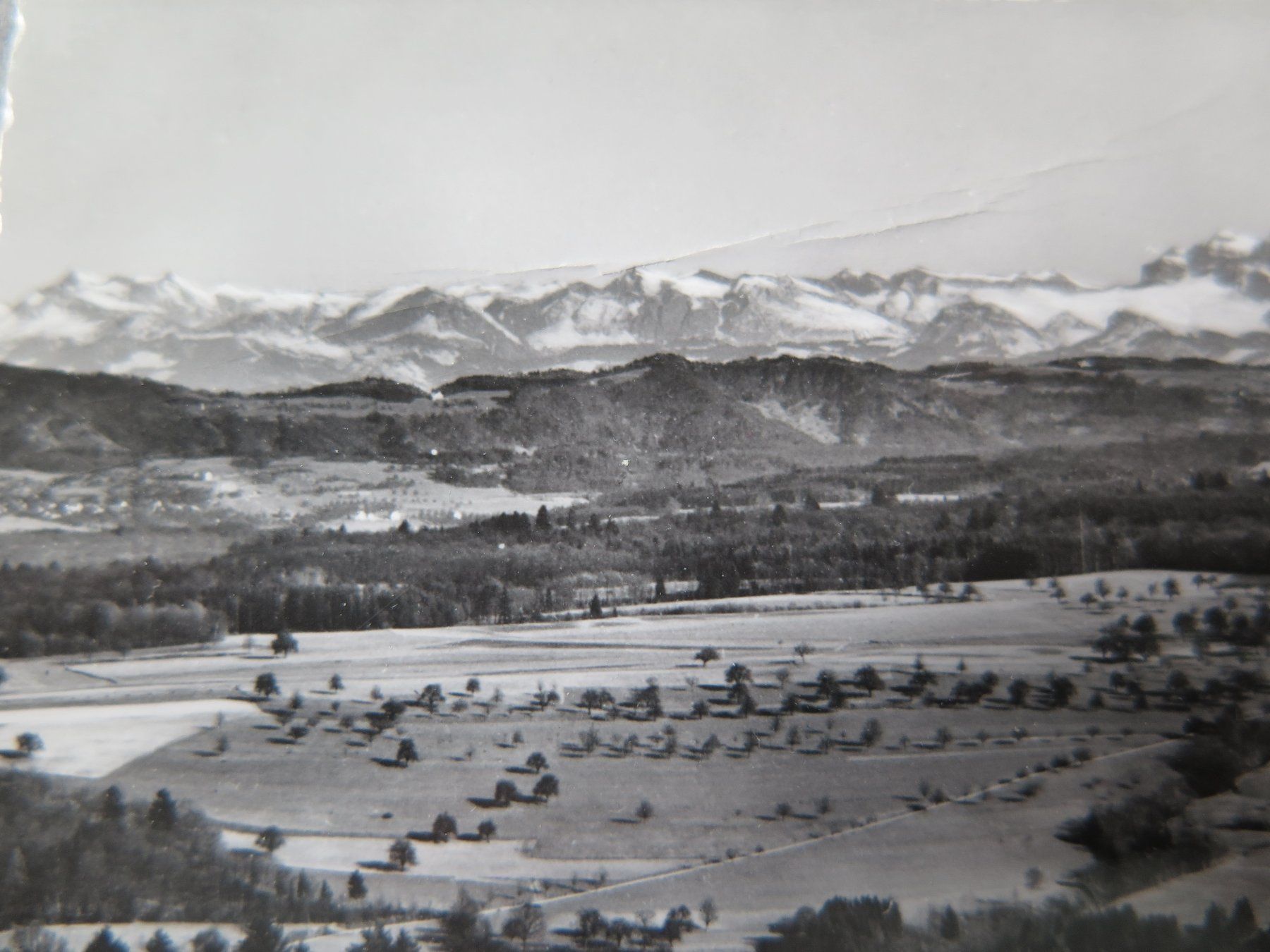 Cartoline postali: HASENBERG - GASTHOF UND CHALET HASENBERG – Usato da Wittenbach venduto da lipasal 1