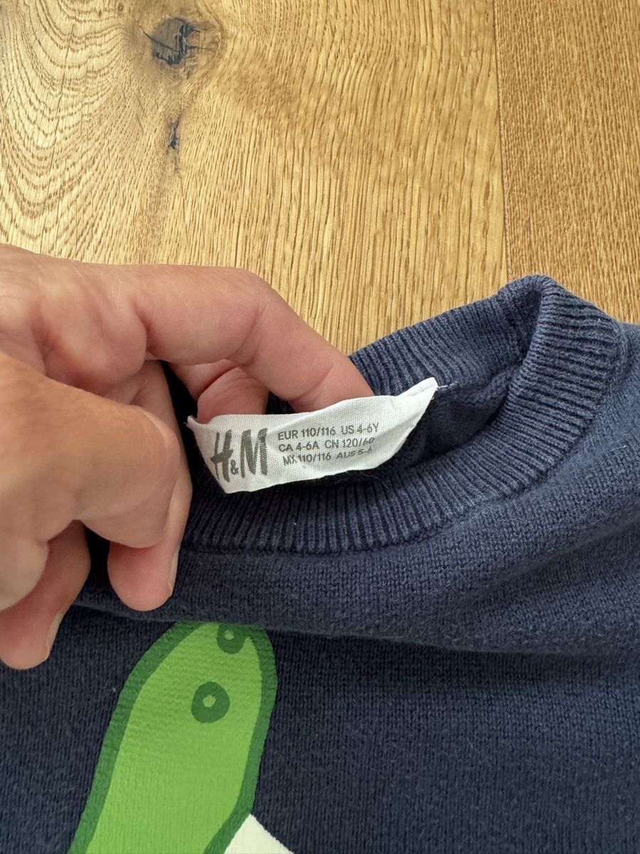 H&M Pullover & Sweatshirts: Kinder H&M Pullover, Gr. 110/116 – Gebraucht aus Interlaken von fbnscl 1