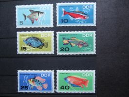 DDR 1966 Zierfische  **