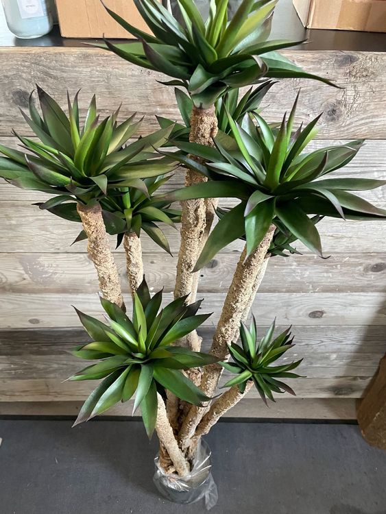 Relaxdays Knstlicher Olivenbaum 150 Cm  Realistischer Kunstbaum Fr  Innenrume