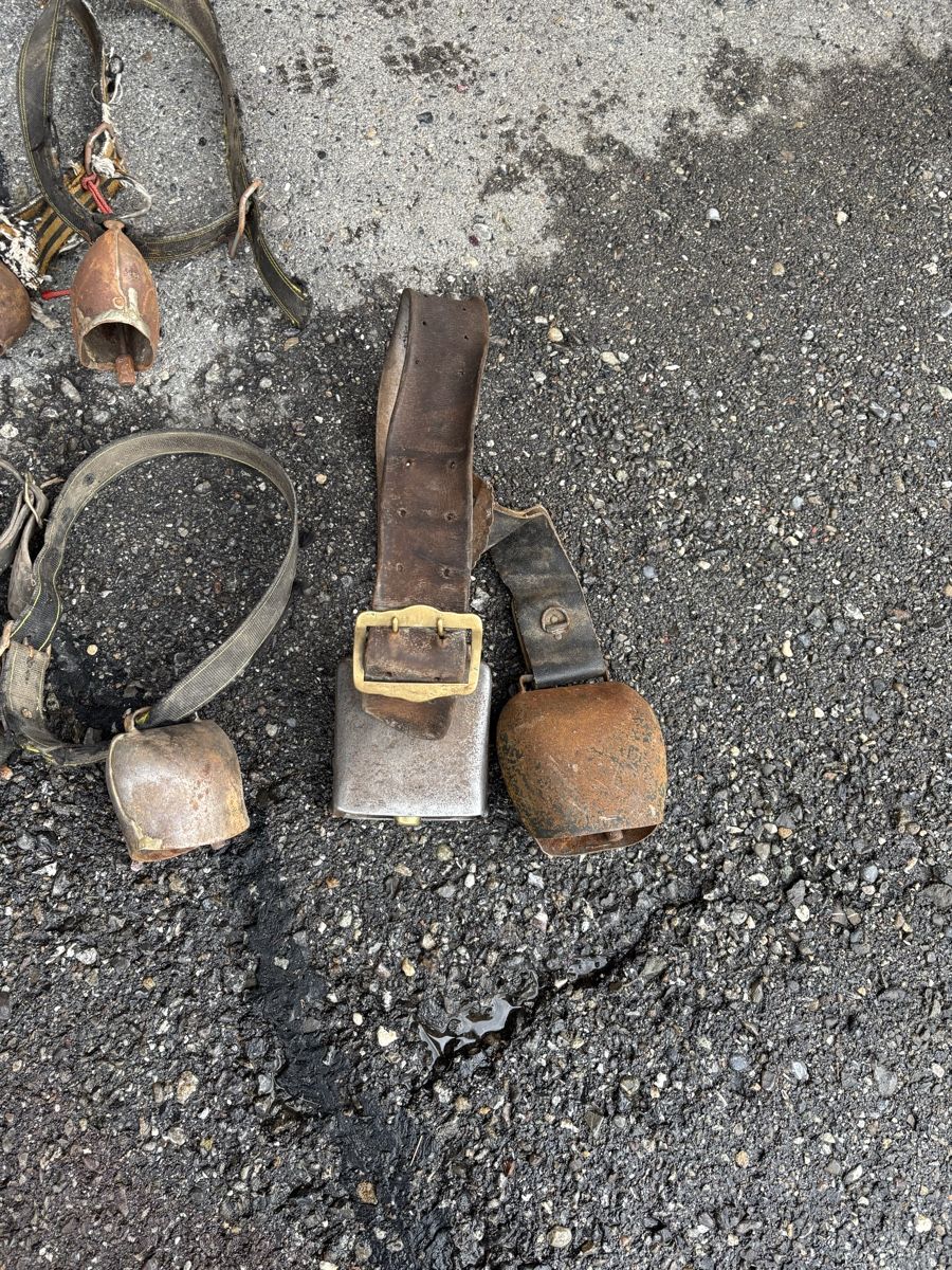 Campanacci mucche: 20 Stk Rindertreicheli – Difettoso da Schangnau venduto da Roseggli82 5