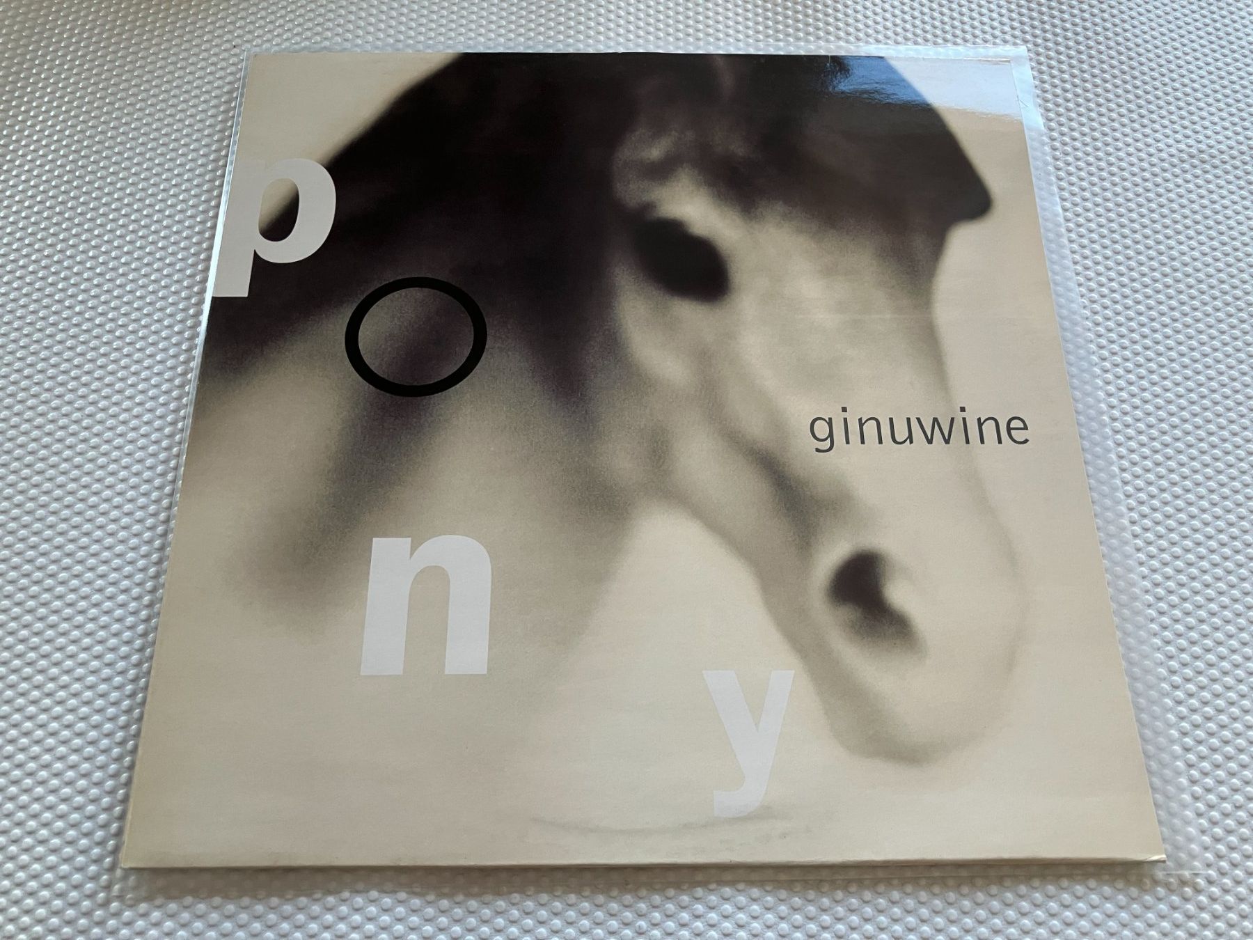 Dischi in vinile: Ginuwine – Usato da Aarwangen venduto da Jukebox3