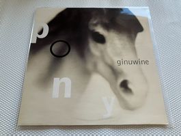 Ginuwine
