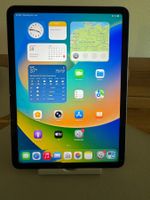 iPad Air 4 Generation  256 GB 92% Akku Kapazität