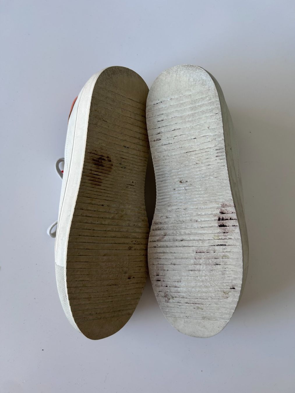 Adidas Scarpe da donna: Common Projects Sneakers – Usato da St. Gallen venduto da look-twice 4