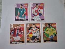5 x Panini WM 2026 extra Stickers