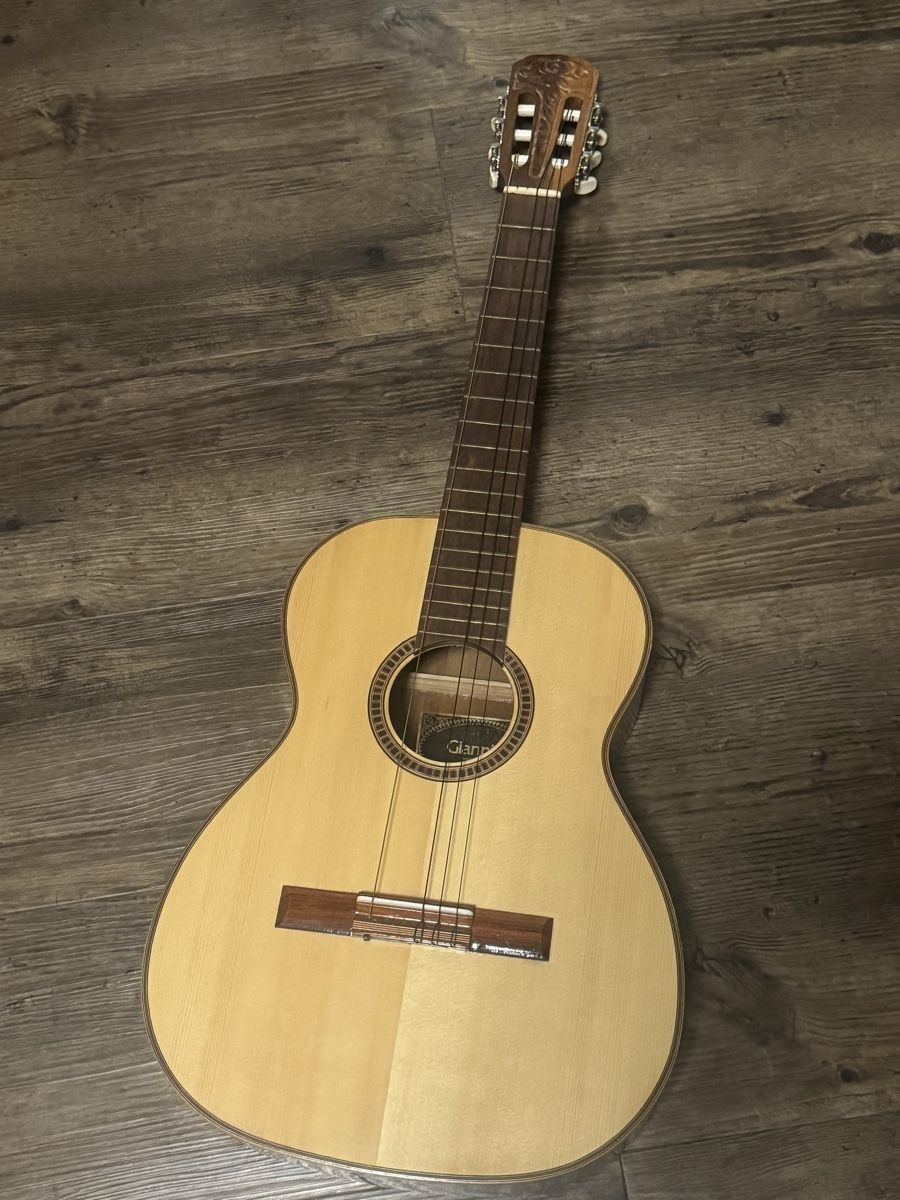 Giannini Strumenti musicali: Giannini AWN21(1979) – Usato da Hochdorf venduto da fla_hl9g 3