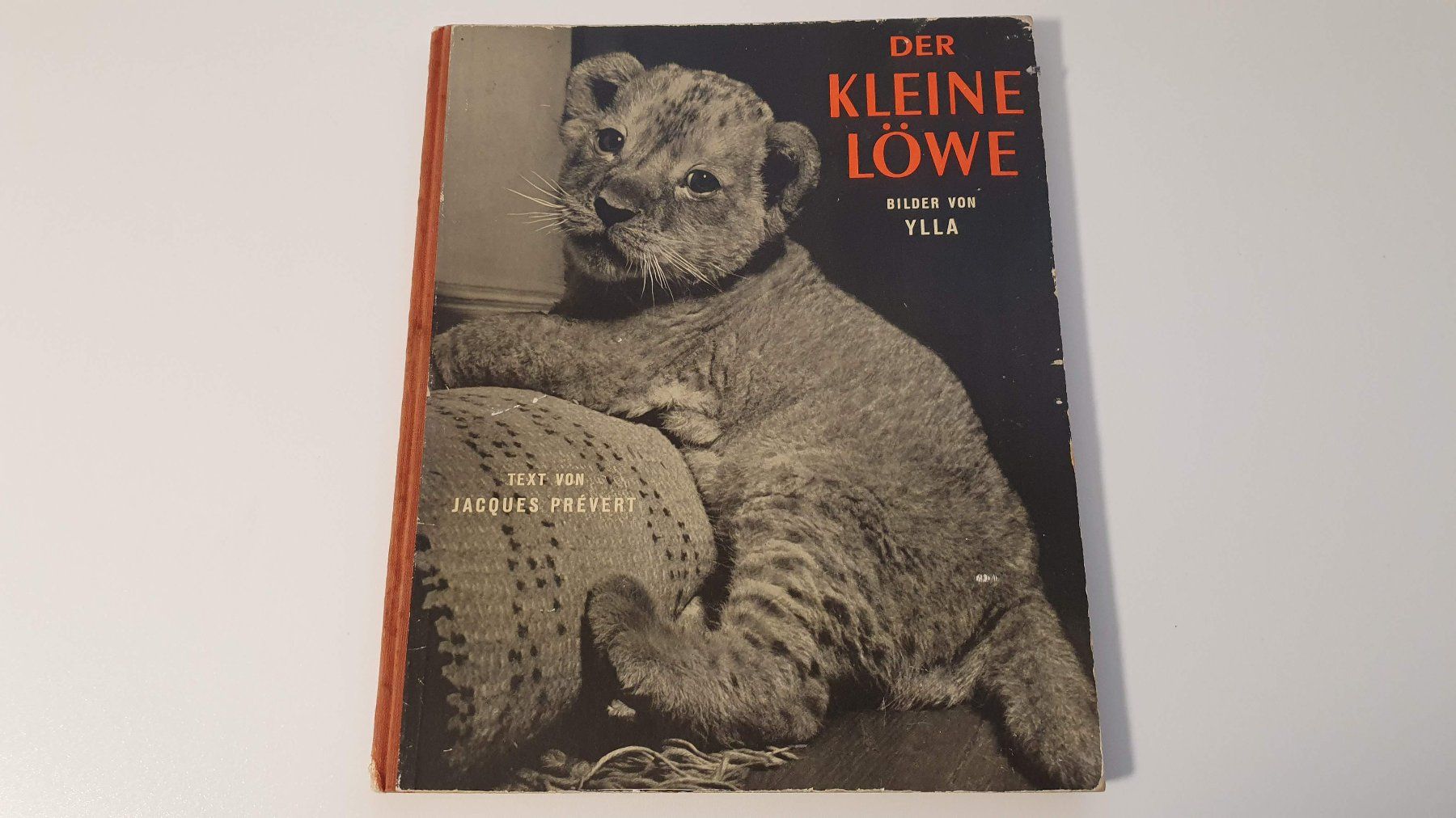 Bücher: Der kleine Löwe. Bilder von Ylla. – Gebraucht aus Dietlikon von Justus4