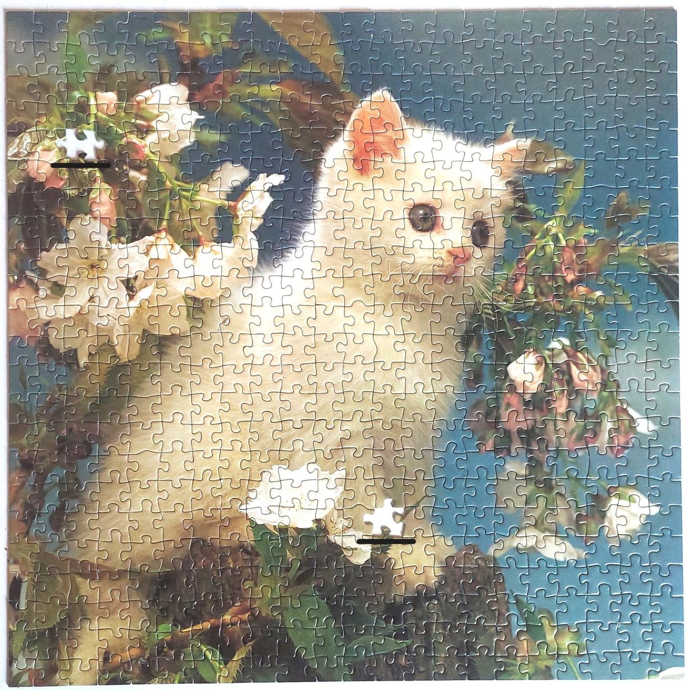 Puzzle: F.X.Schmid Puzzle 500er Kätzchen – Usato da Stettlen venduto da wewe54 2