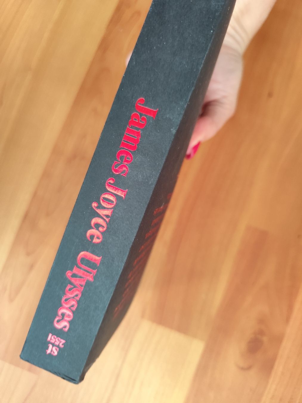 Libri: James Joyce Ulysses German Edition Taschenbuch  – Usato da Mägenwil venduto da VintageGirly 3