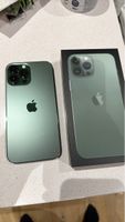 Apple iPhone 13 Pro Max 128GB Alpengrün
