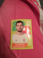 Panini coupe du monde 2026 IRN 11