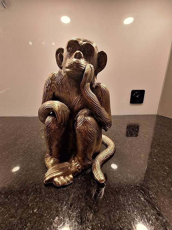 Sculture & Statue: Decorative Monkey Statue – Usato da Zürich venduto da MatShopping