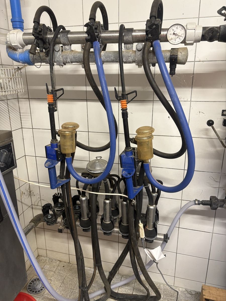 Delaval Tutte le macchine: Melkmaschine DeLaval – Usato da Hölstein venduto da Moserei14 3