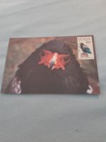 Carte postale d'oiseau Venda 40c - Afrique du Sud!