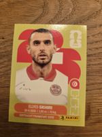 Panini Sticker 2026 TUN 9