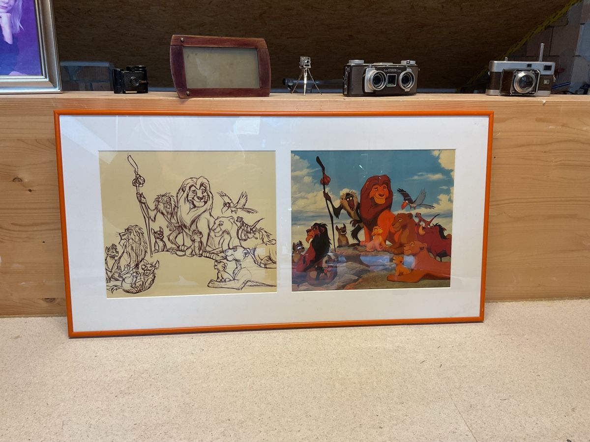 Foto & Immagini: Disney‘s Lion King Serigraph Cel – Usato da Dübendorf venduto da rob_td8b