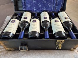 Sassicaia 2016 (12 Flaschen)