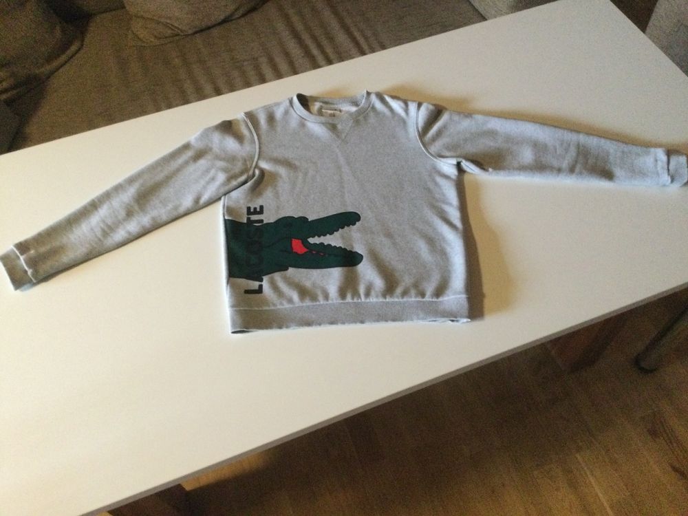 Pull clearance enfant lacoste