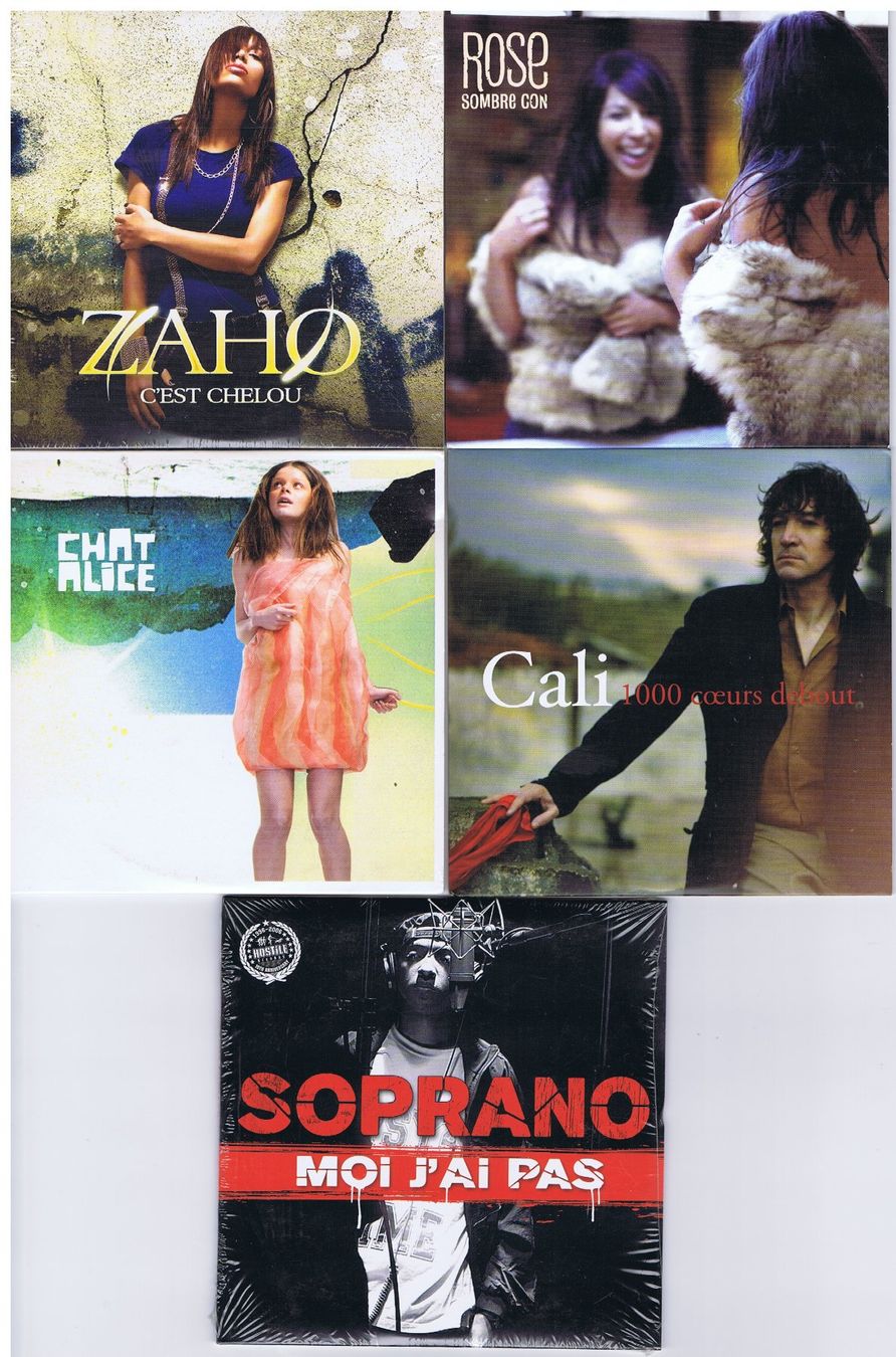 CD: 5 Demo CDs "en francais", assortiert – Usato da Unterengstringen venduto da Lastchance