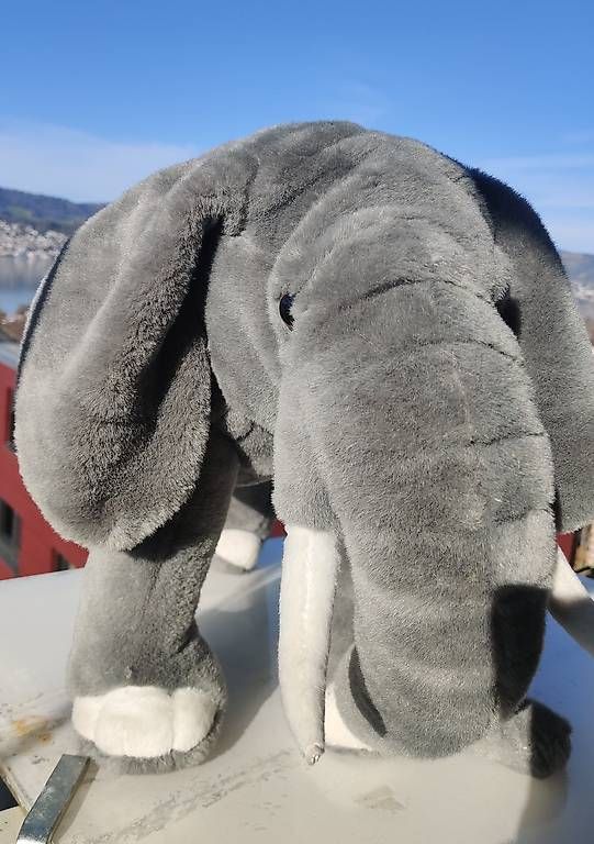 Giocattoli: Plüschelefant – Usato da Erlenbach ZH venduto da Corto1