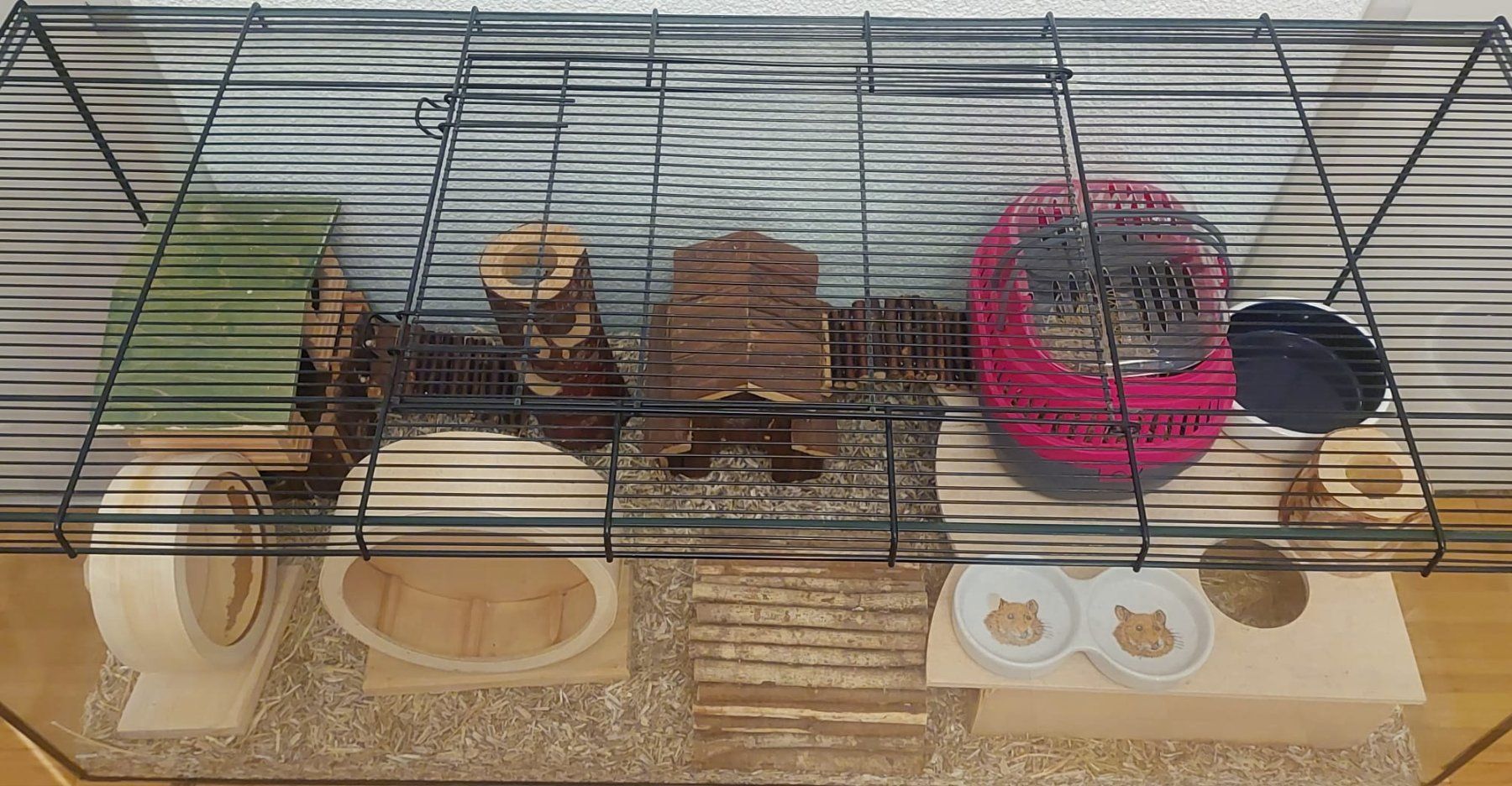 Terrario: Hamsterkäfig – Usato da Bern venduto da and_vq7p 1
