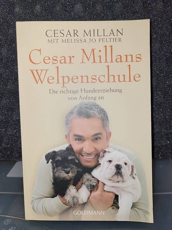Libri: Cesar Millan - Cesar Millans Welpenschule  – Usato da Boll venduto da ttr-fun