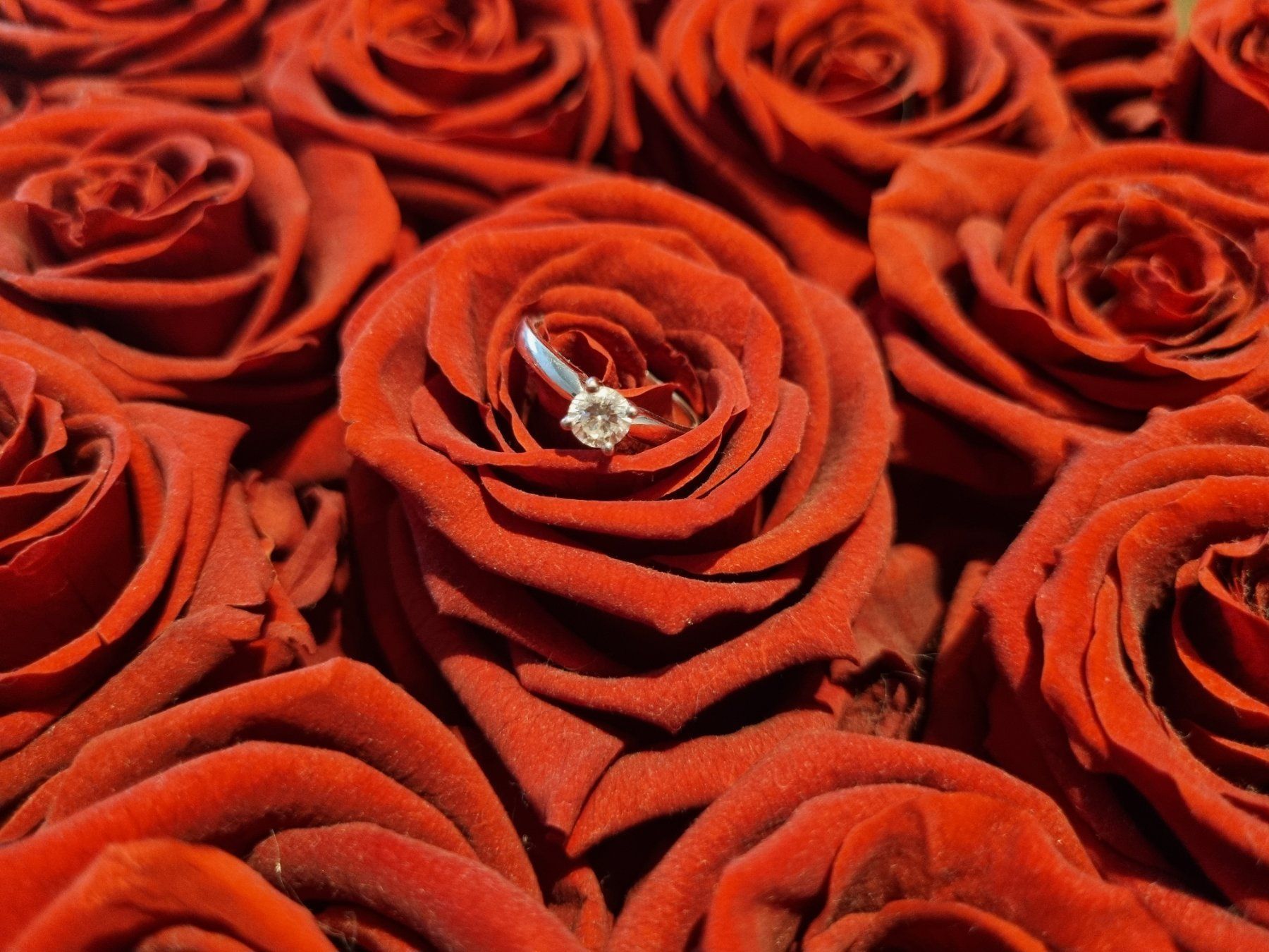 Gübelin Ringe: GÜBELIN Weissgold SOLITÄR Ring – Neu (gemäss Beschreibung) aus Frenkendorf von CTN