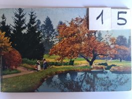 Ansichtskarte Herbst