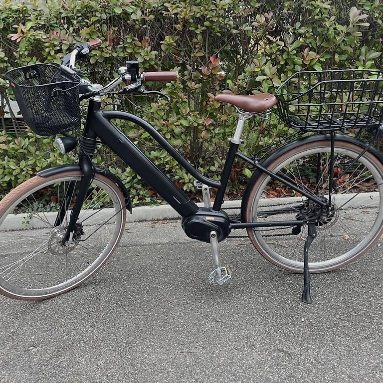 Biciclette: E-Bike von Ego Movement, Cleopatra – Usato da Zürich venduto da ipekc