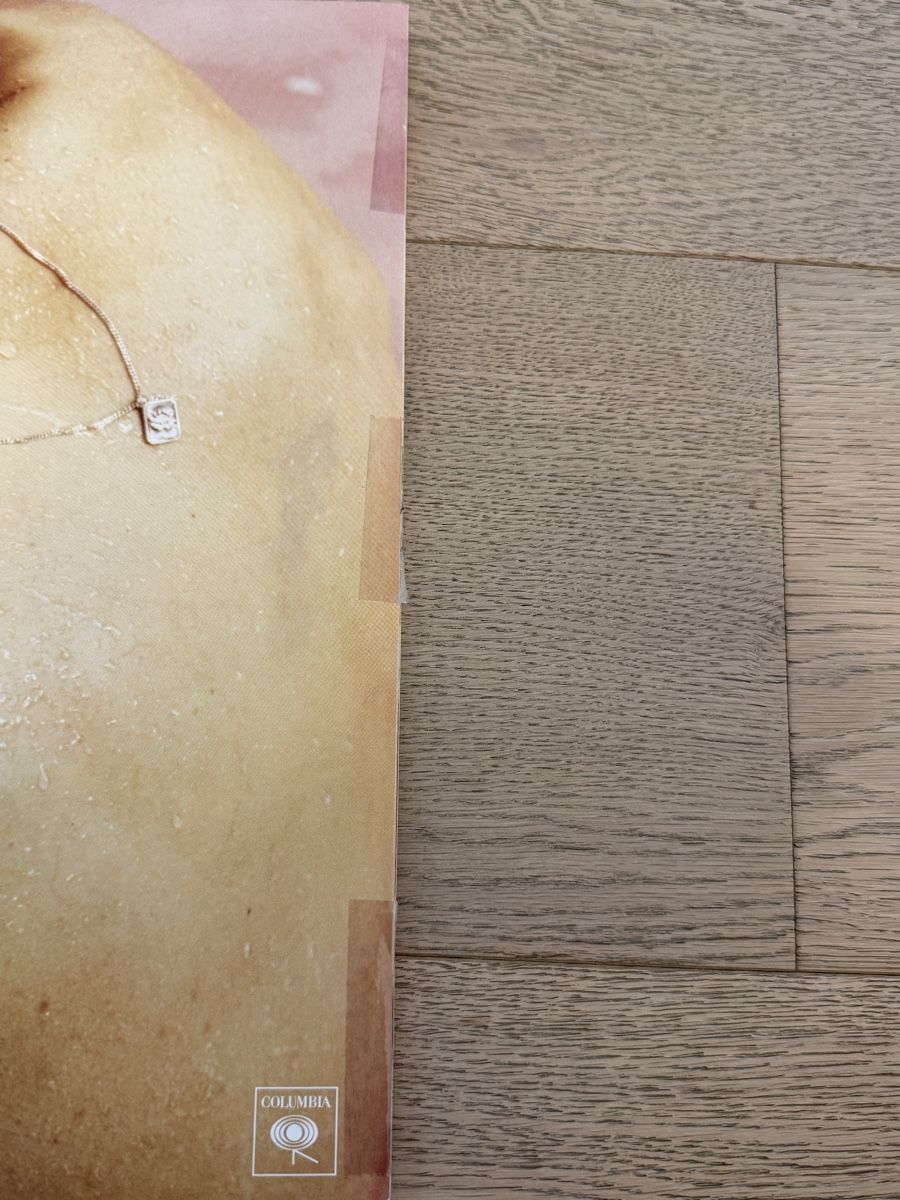 Schallplatten: Harry Styles Self-Titled Vinyl – Gebraucht aus Immensee von meg_5pqk 6