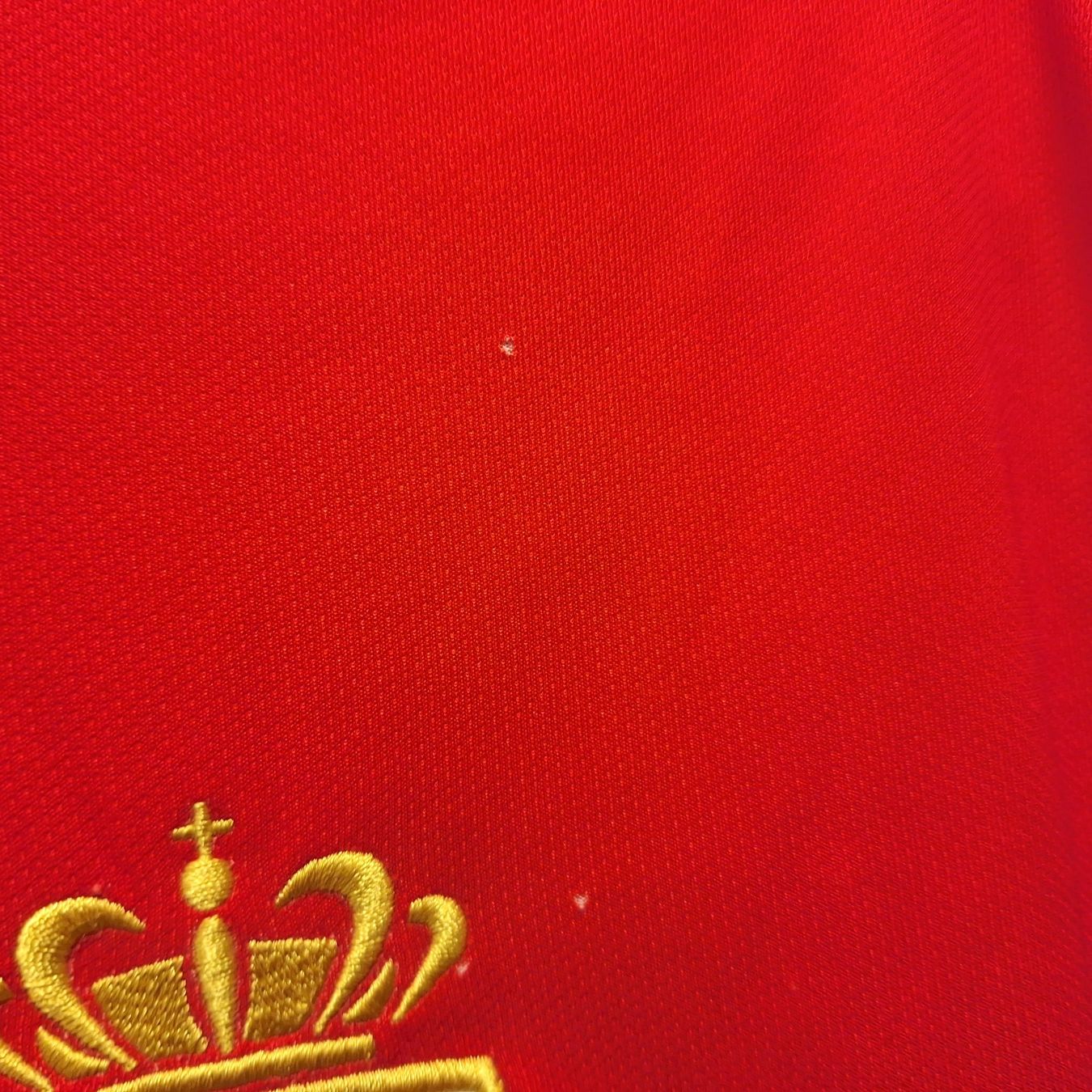Canottiere & Pantaloni: Nike As Monaco XL home 2014 – Usato da Bellinzona venduto da LA-ropa-de-Juan 4