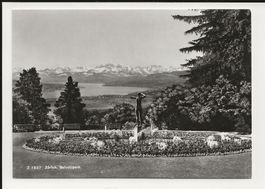 AK ca. 1955 Zürich Belvoirpark Tolle Seesicht und wie Neu 🤩