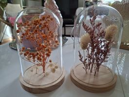 2 Décorations florales sous cloche 