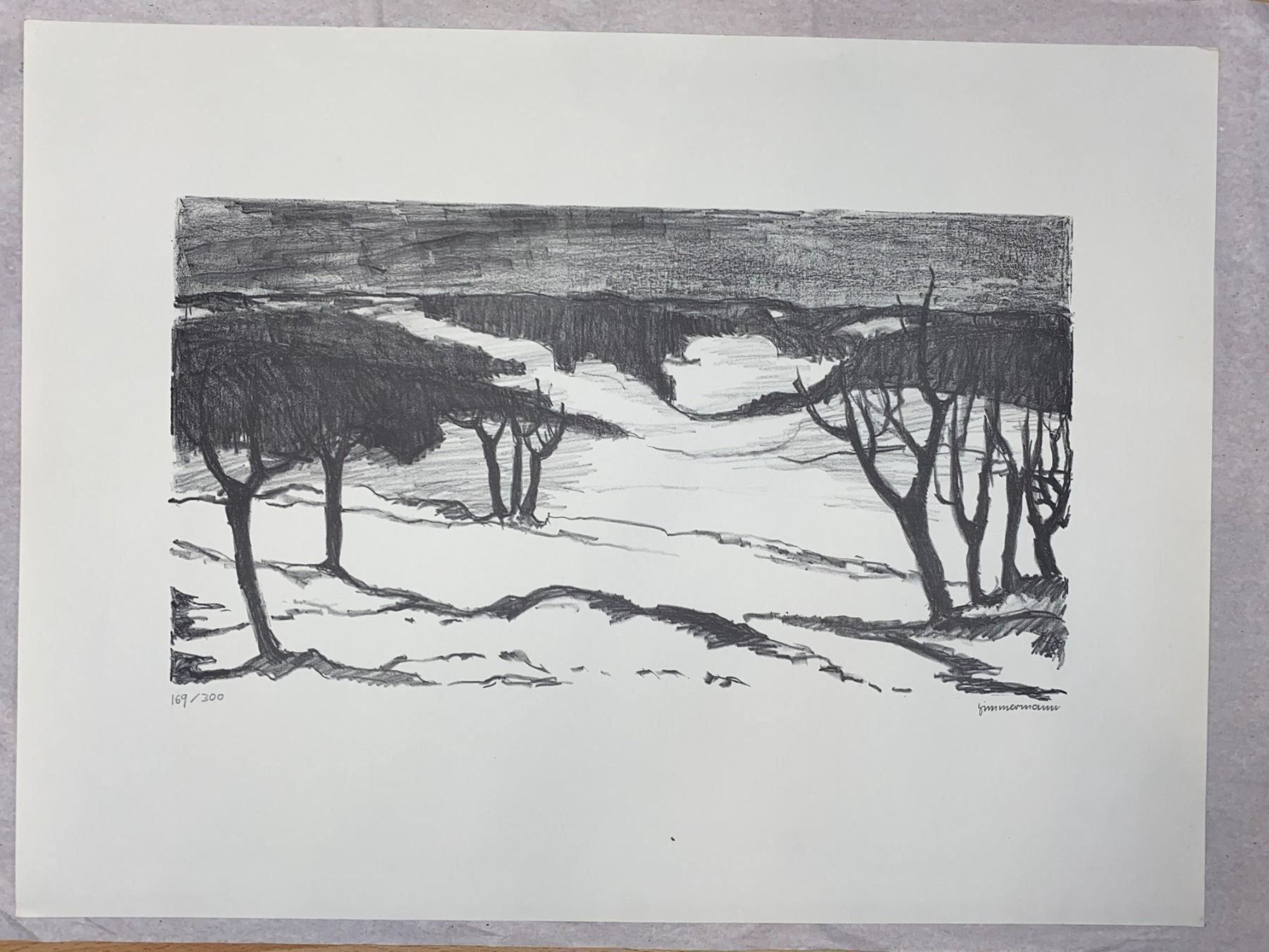 Grafica & Litografie: Josef Zimmermann Lithografie Original – Usato da Vaduz venduto da Unikate-Markt