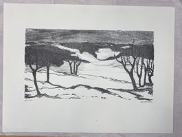 Josef Zimmermann Lithografie Original