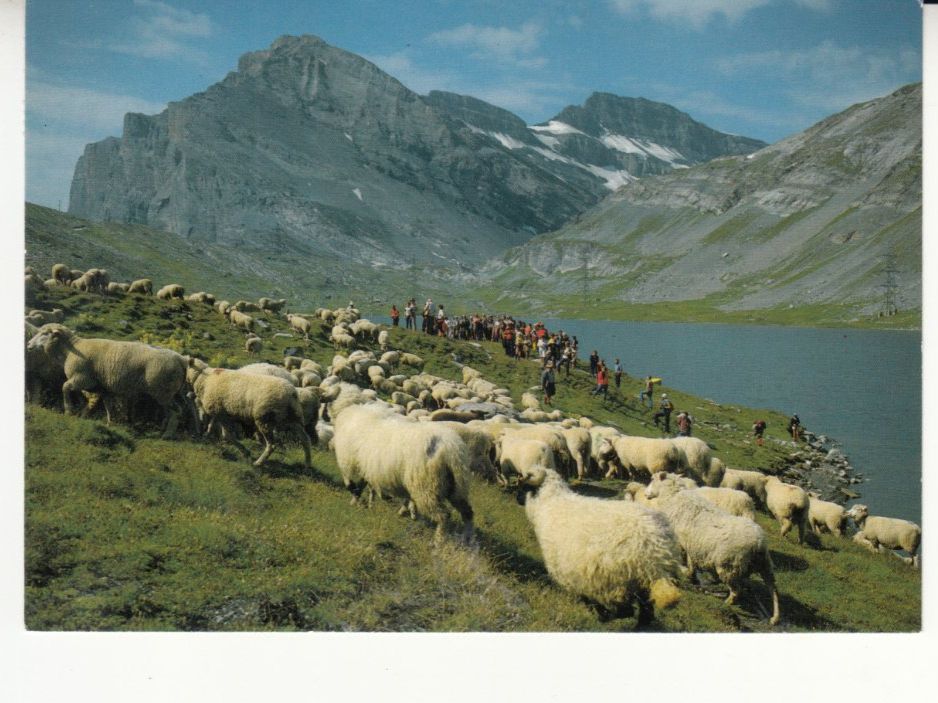 Cartoline postali: Daubensee ca. 1980 – Usato da Bürglen TG venduto da StampGraf