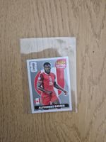 Extra Sticker, Davies Silver/Argent