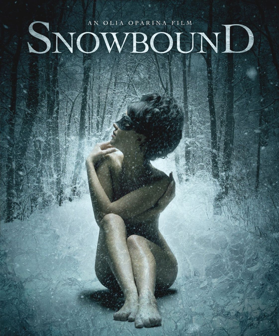 Alle DVDs: SNOWBOUND - GEFESSELT & GEQUÄLT – Gebraucht aus Reinach AG von Masi 2