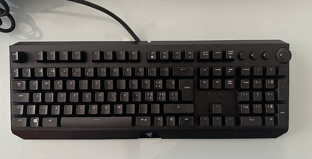 Razer Tastiere: Razer Blackwidow Elite – Usato da Le Grand-Saconnex venduto da zak_h2nr