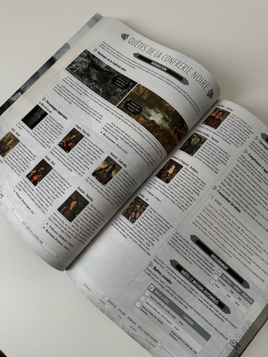 Libri: Guide Skyrim  – Usato da Ecublens VD venduto da Kenan1024 1