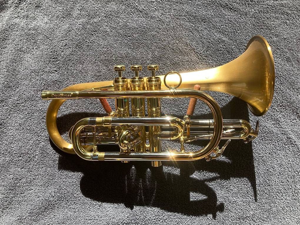 Strumenti musicali: B-CORNET CAROL BRASS – Usato da Pfäffikon ZH venduto da Pfanni115 2