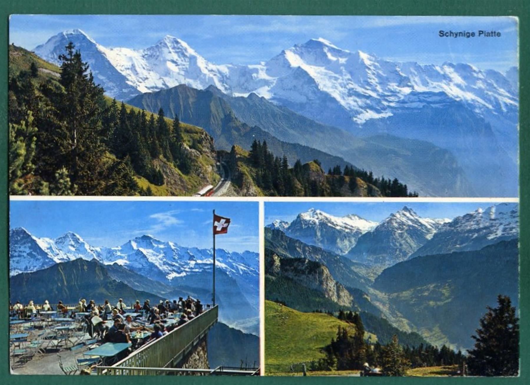 Ansichtskarten: Schynige Platte, 1971,3 Ansichten, gelaufen, Grossformat – Gebraucht aus Sargans von Hausi1951