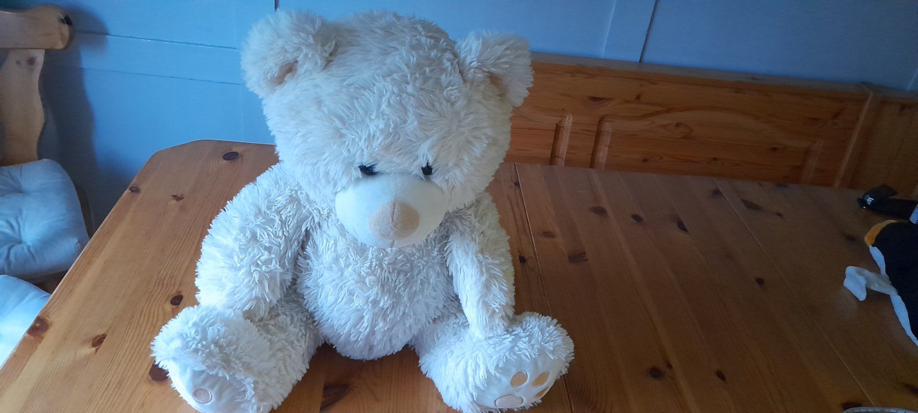 Giocattoli: Teddy – Usato da Nesslau venduto da Churfirsten08