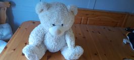 Teddy